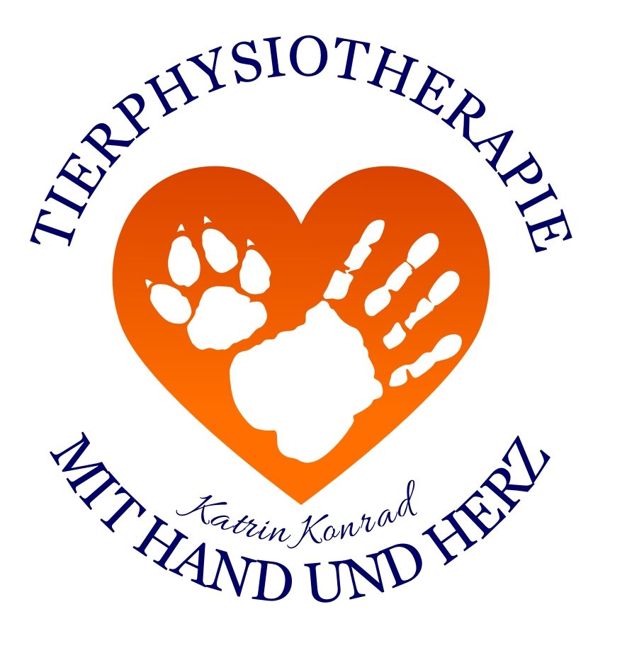Tierphysiotherapie